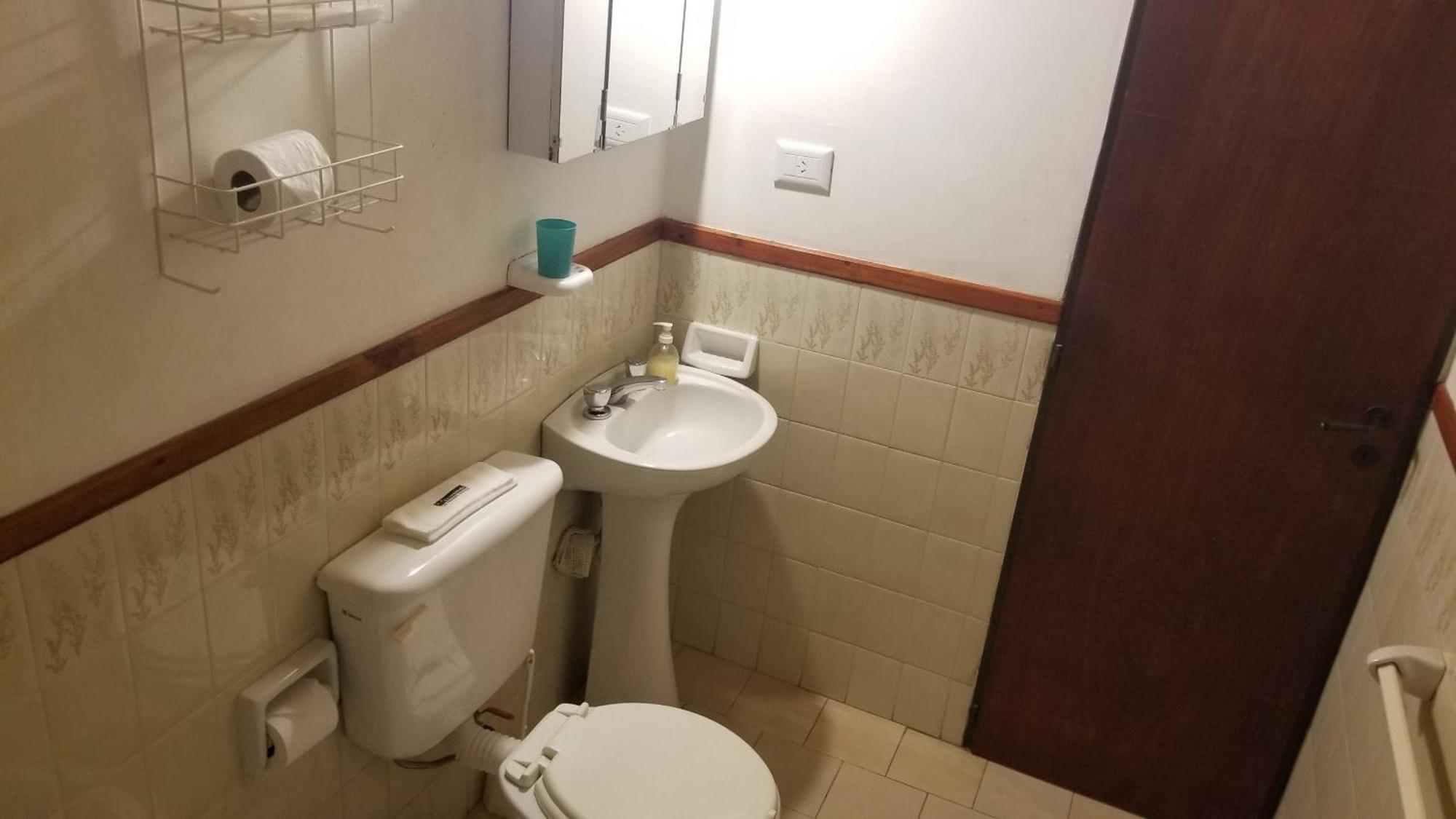 Coronel Rodhe - Andarlibre Apartment San Martin de los Andes Ngoại thất bức ảnh